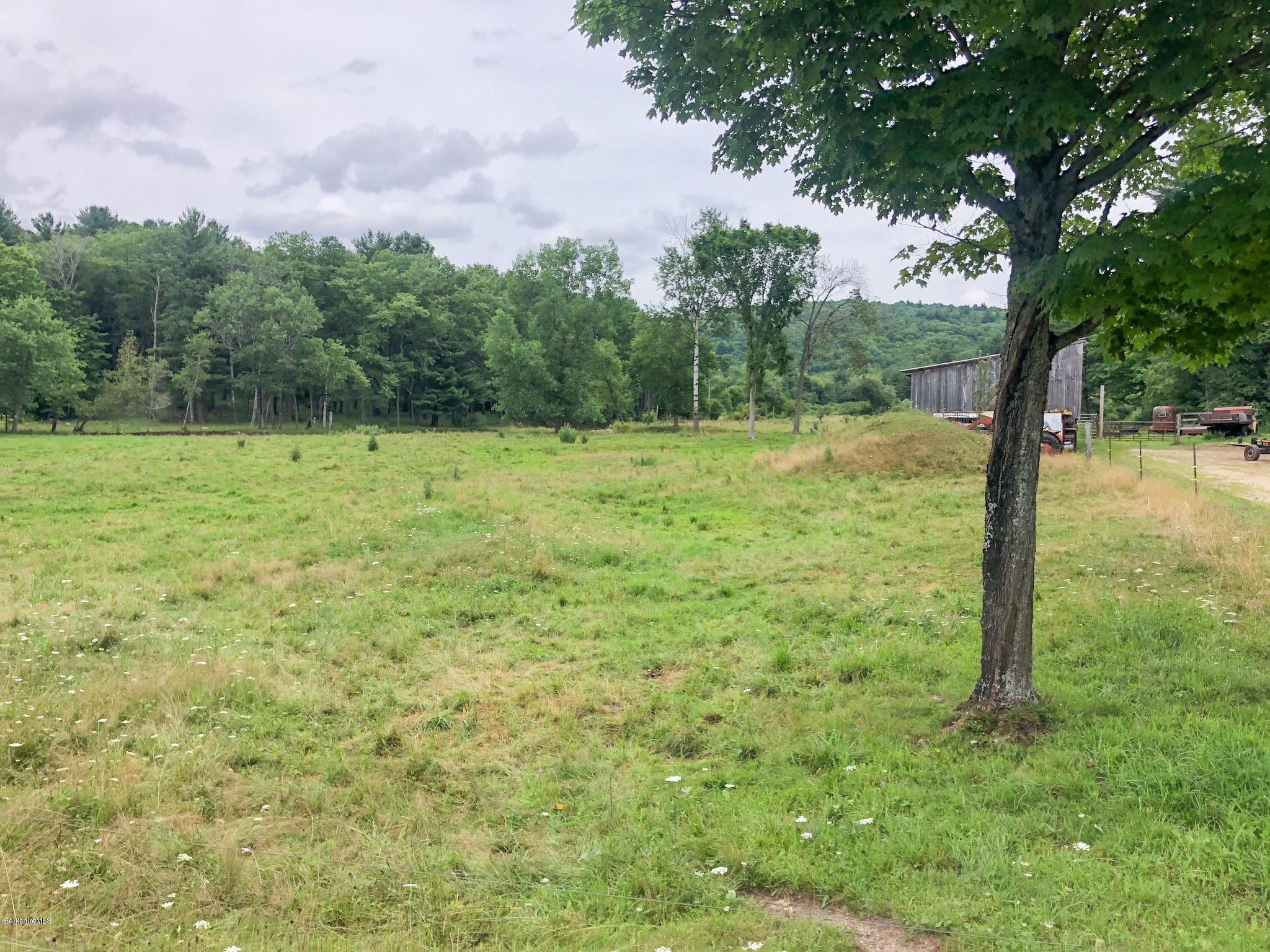 93 Lower Valley Road Washington, MA 01223 - Photo 10 of 15 a view of a yard with a tree