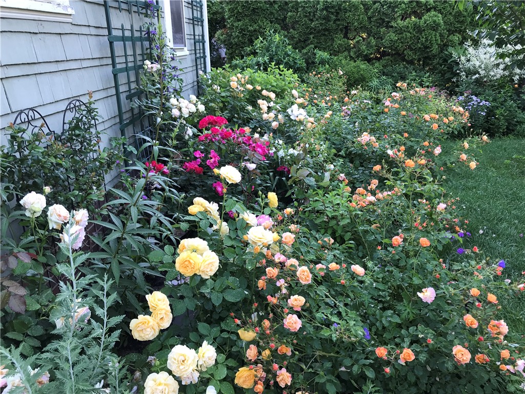 83 Friendly Road Cranston, RI 02910 - Photo 27 of 34 seasonal blooms