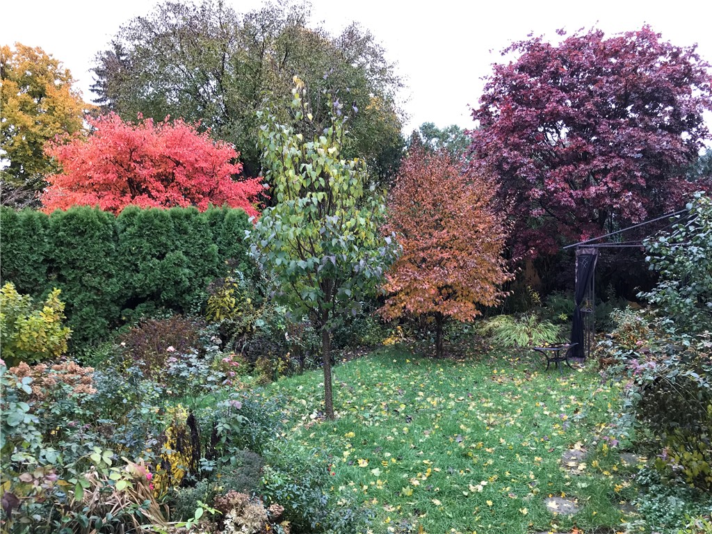 83 Friendly Road Cranston, RI 02910 - Photo 30 of 34 autumn