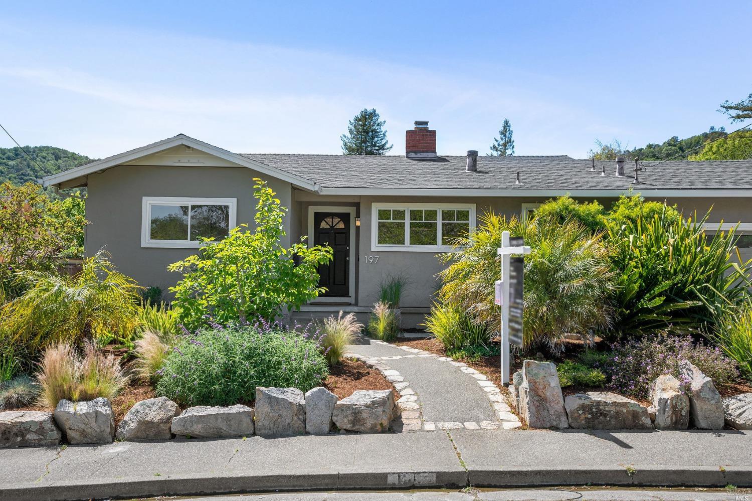 a view of a house with a yard and potted plants