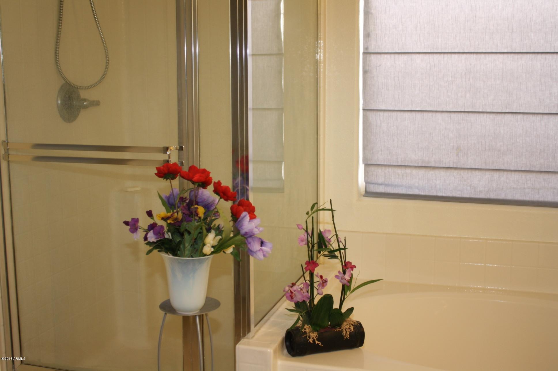 1375 West Musket Way Chandler, AZ 85286 - Photo 13 of 20 IMG_2423