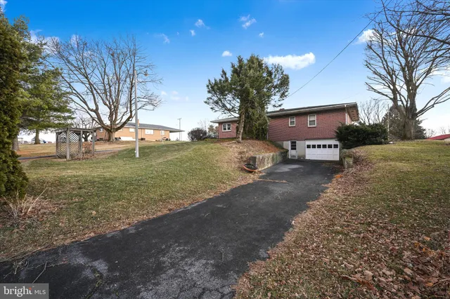 a view of a yard with a large tree