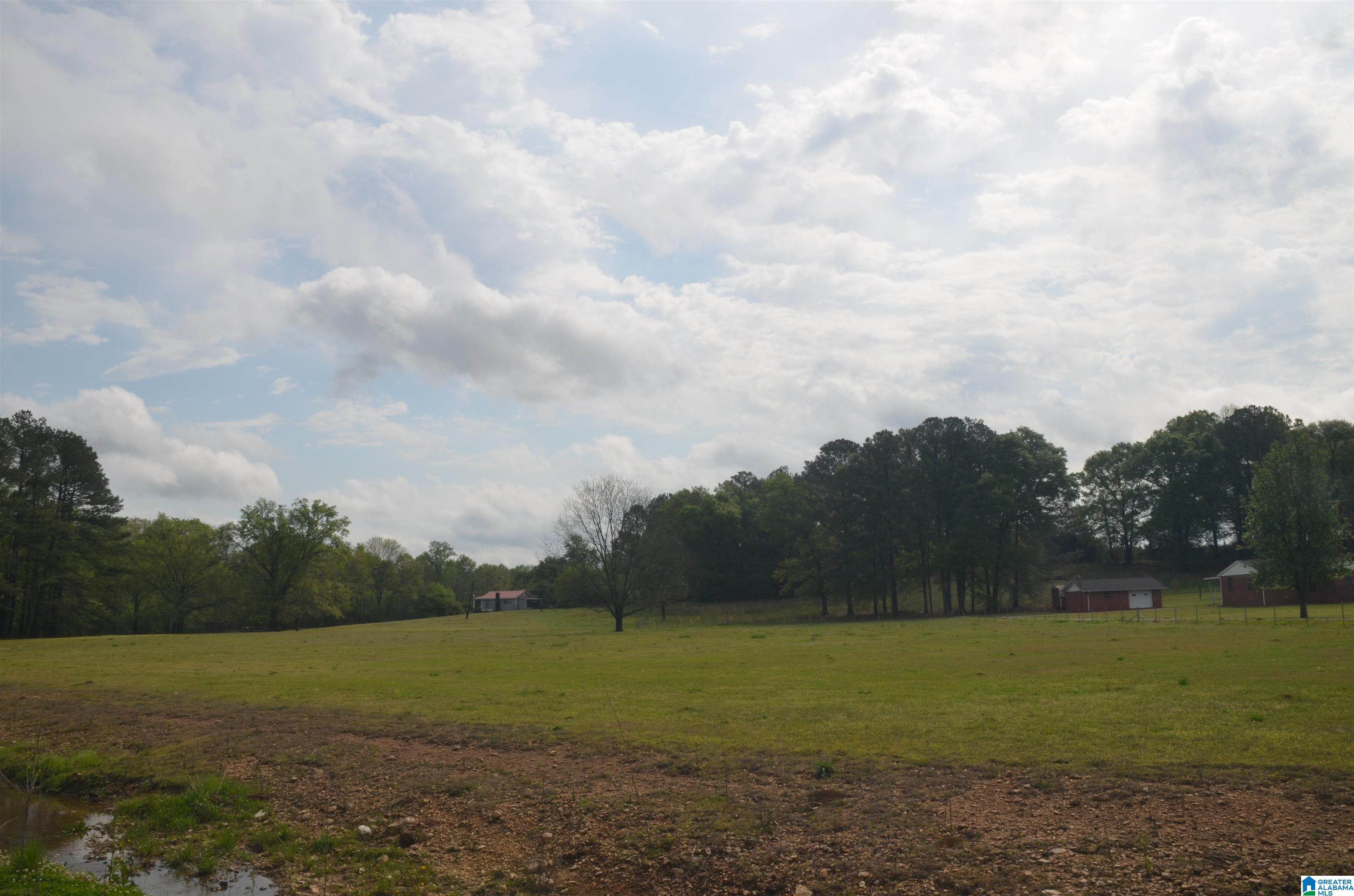 928 Boiling Springs Road Oxford, AL 36203 - Photo 48 of 51