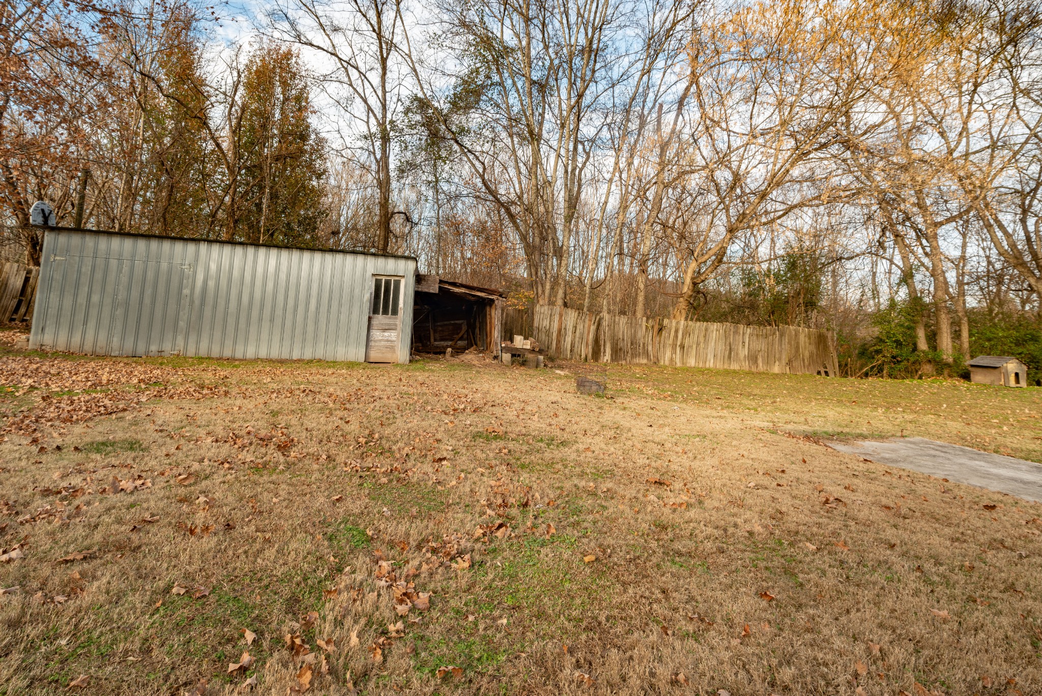 101 Maple Street Normandy, TN 37360 - Photo 7 of 21 a view of a yard with large trees