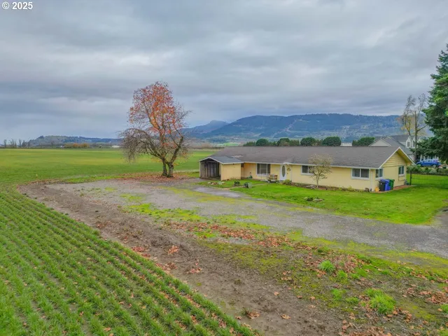 a front view of house with yard and trees