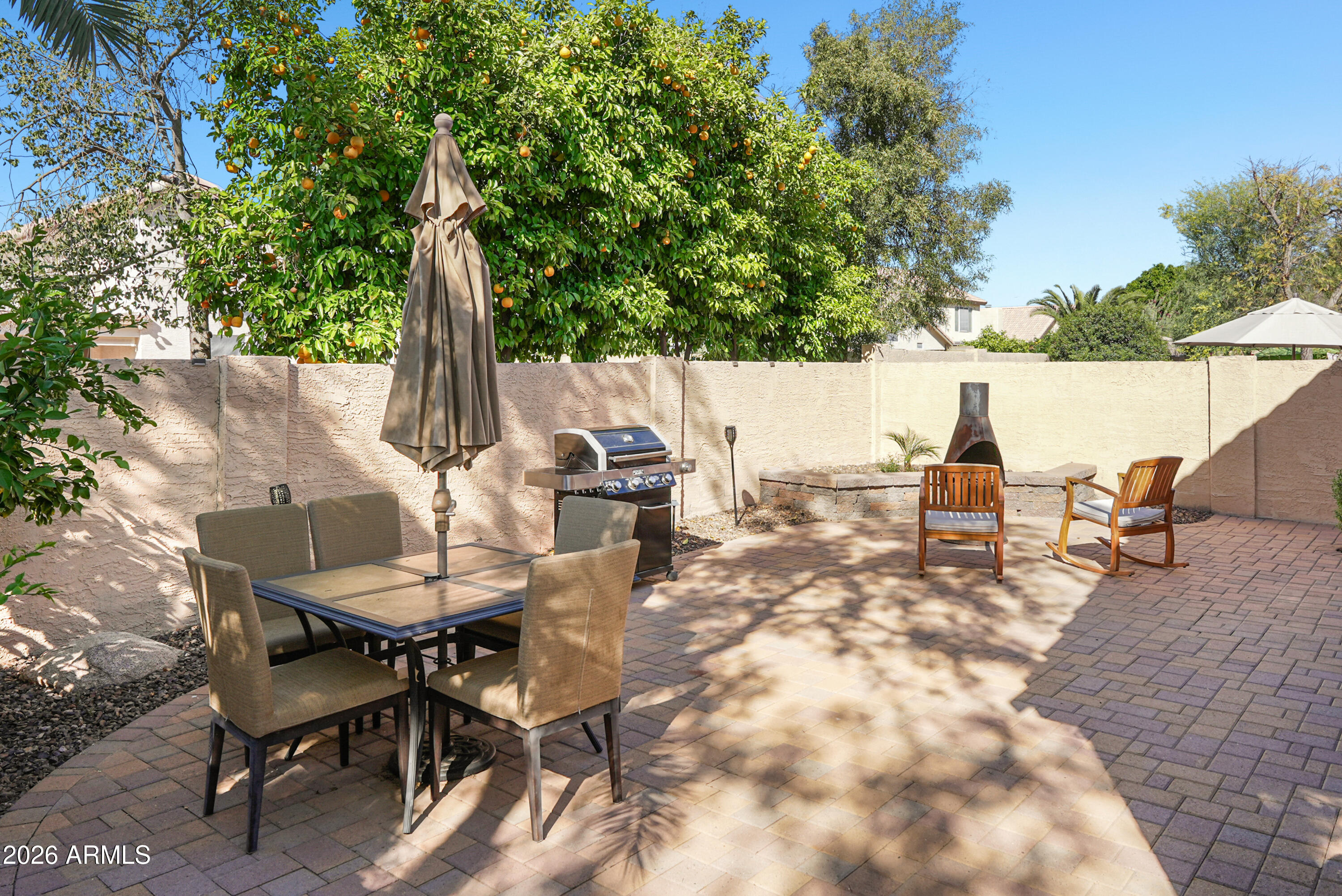 4848 West Del Rio Street Chandler, AZ 85226 - Photo 4 of 19 Backyard