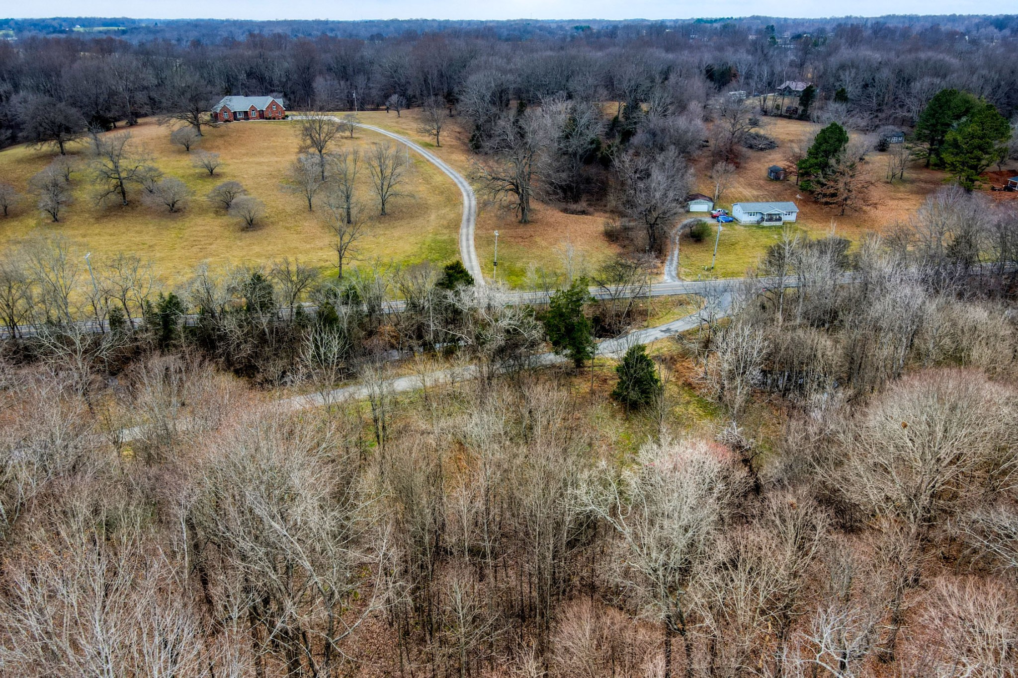 0 Cedar Grove Road Cross Plains, TN 37049 - Photo 17 of 27