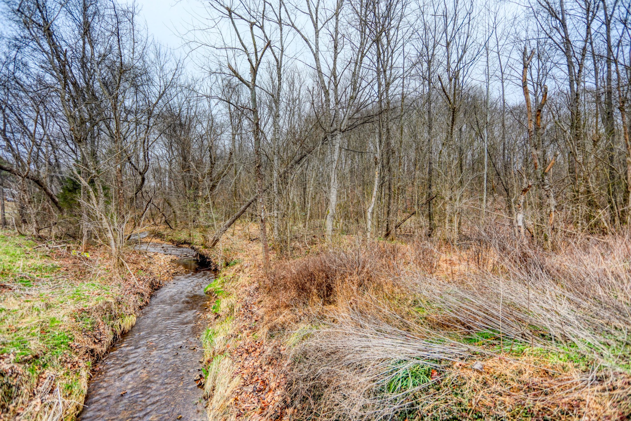 0 Cedar Grove Road Cross Plains, TN 37049 - Photo 18 of 27