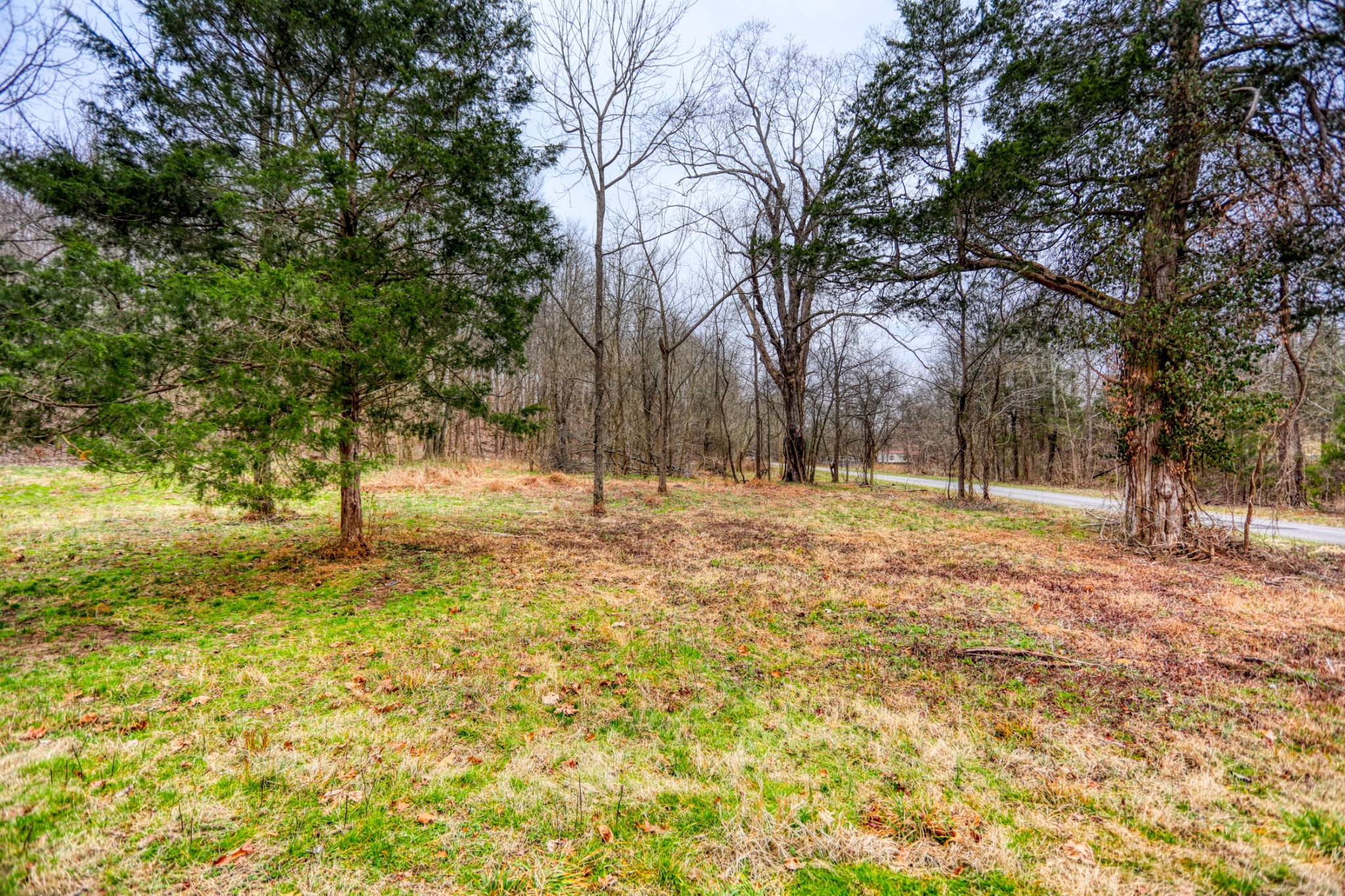 0 Cedar Grove Road Cross Plains, TN 37049 - Photo 19 of 27