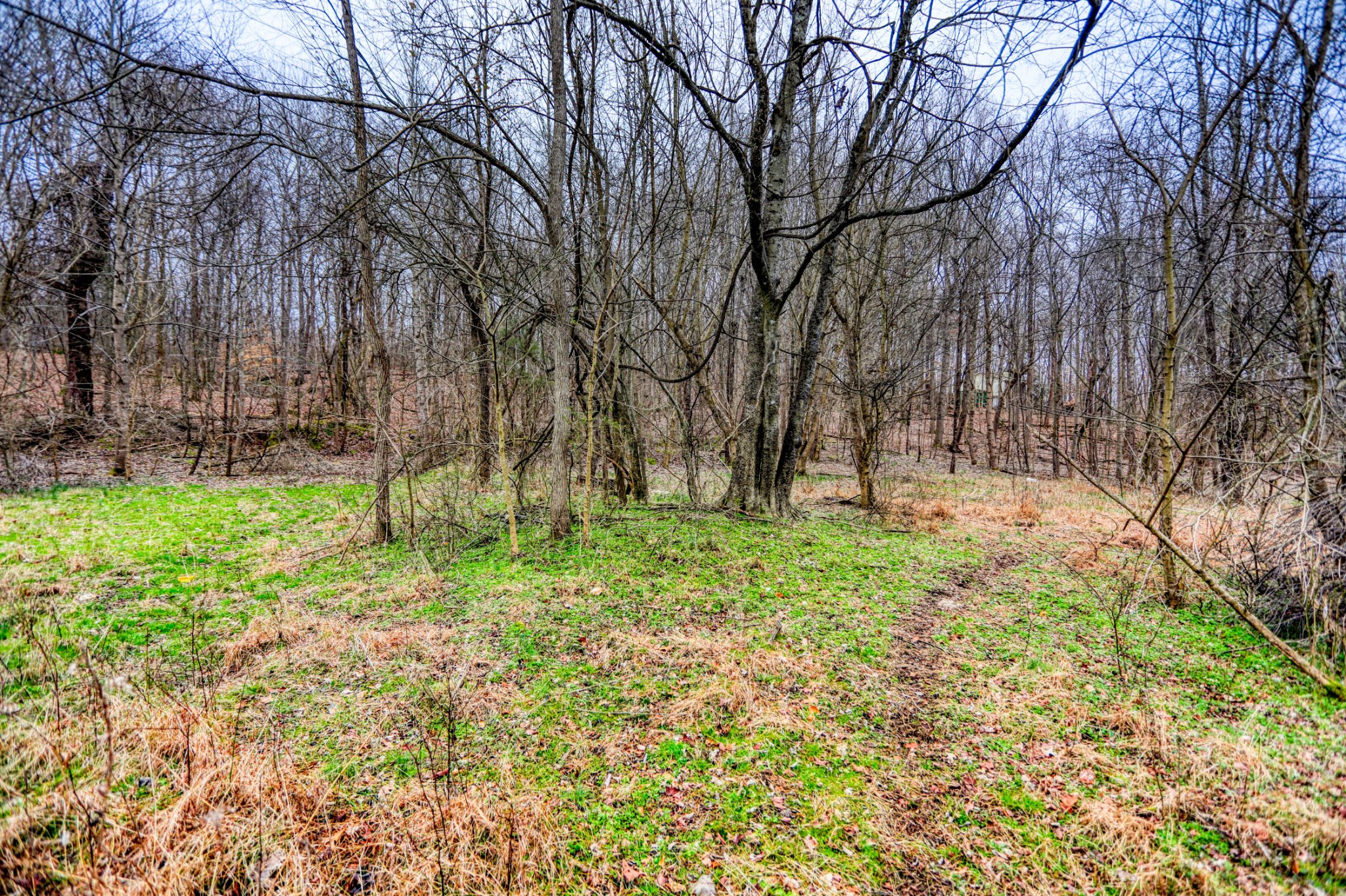 0 Cedar Grove Road Cross Plains, TN 37049 - Photo 22 of 27