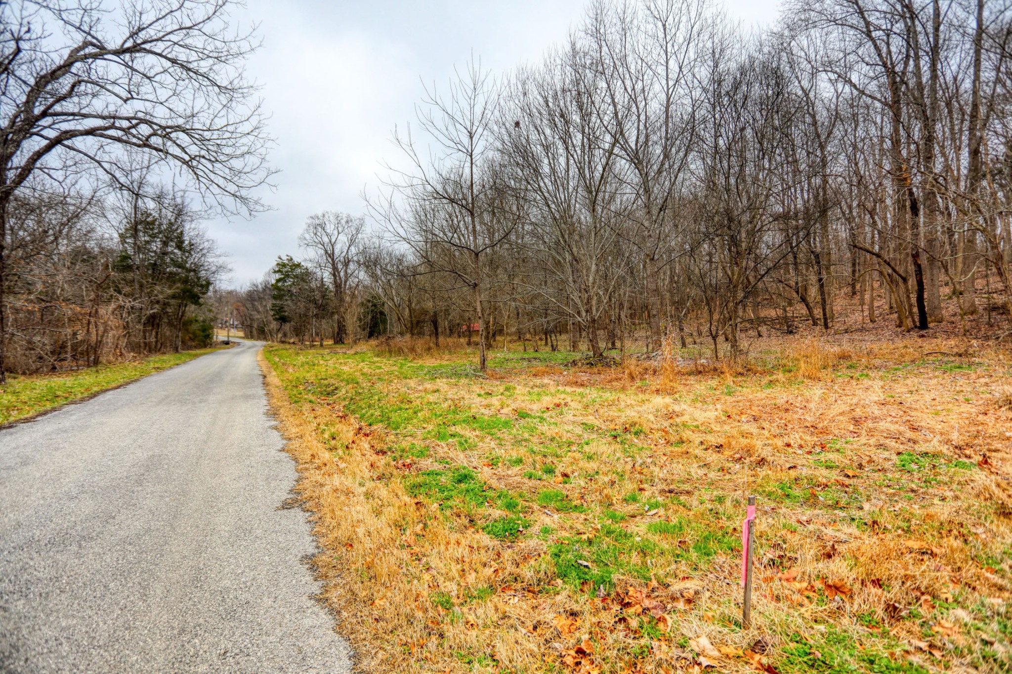 0 Cedar Grove Road Cross Plains, TN 37049 - Photo 23 of 27