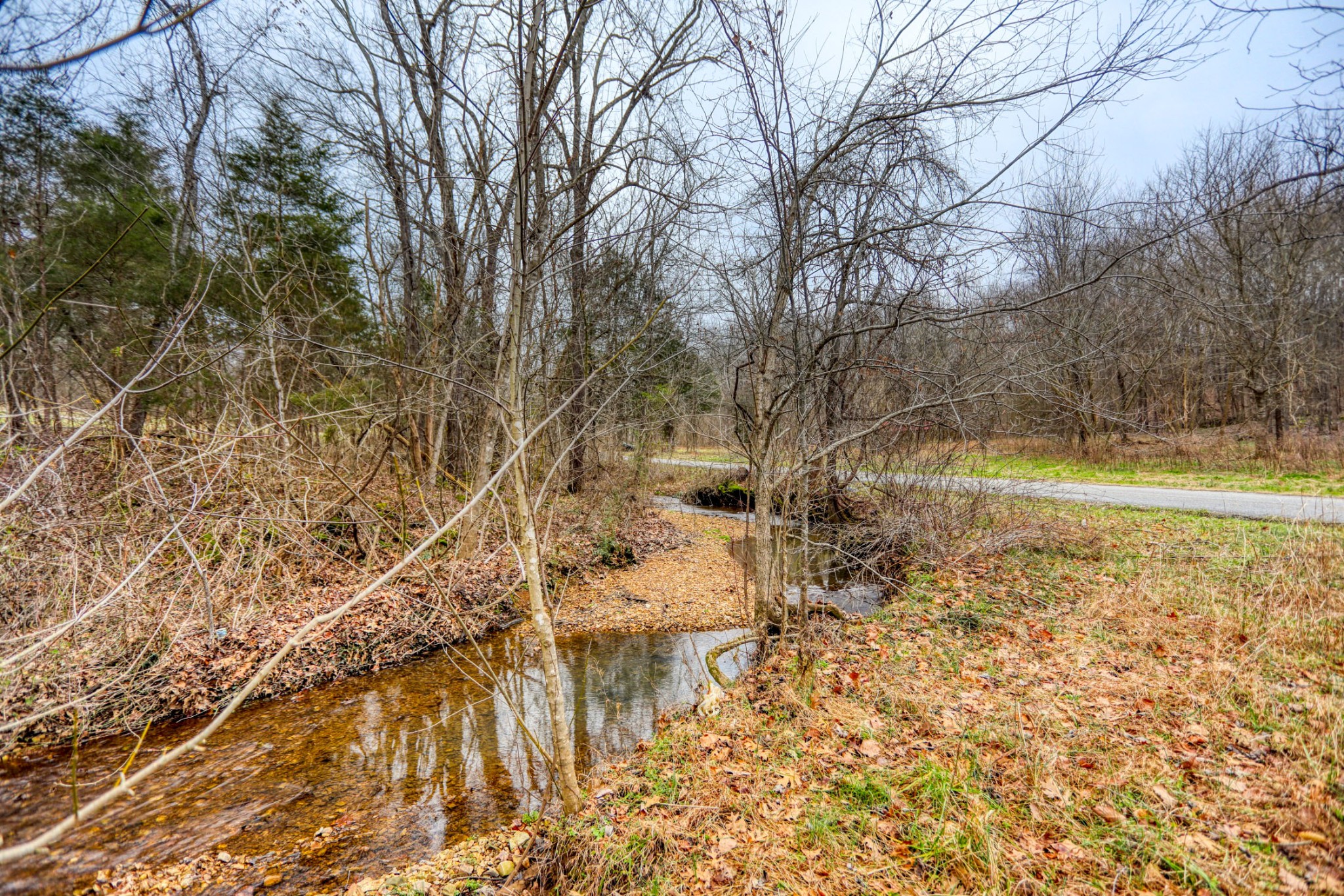0 Cedar Grove Road Cross Plains, TN 37049 - Photo 24 of 27