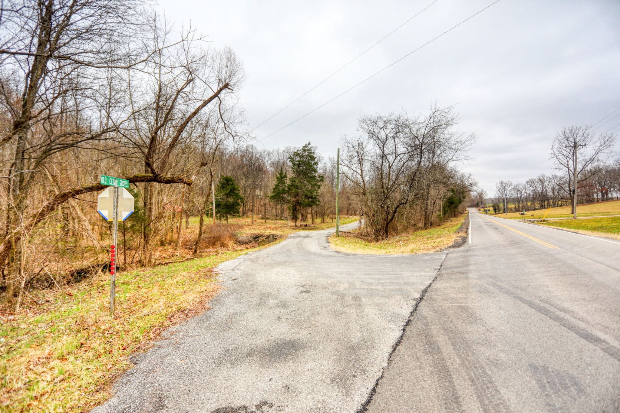 0 Cedar Grove Road Cross Plains, TN 37049 - Photo 25 of 27