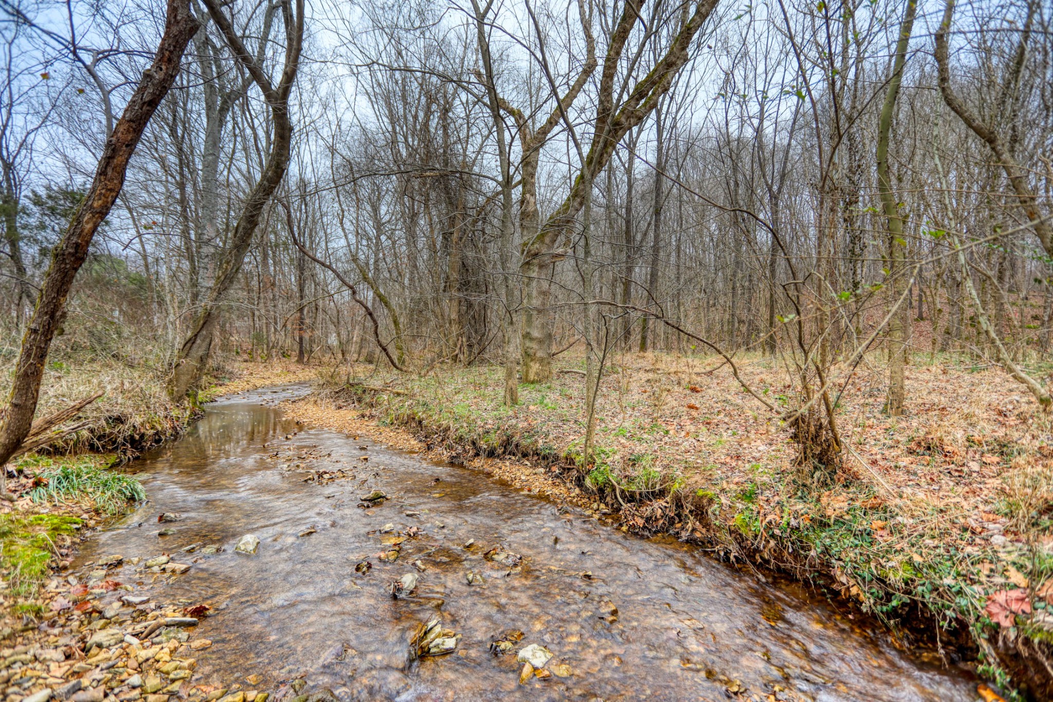 0 Cedar Grove Road Cross Plains, TN 37049 - Photo 26 of 27
