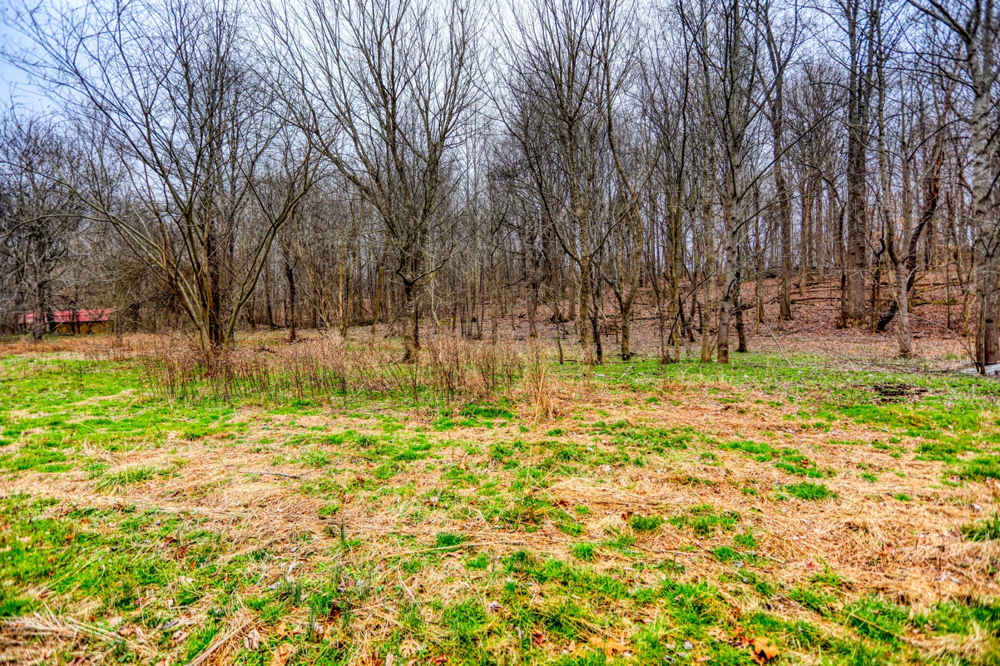 0 Cedar Grove Road Cross Plains, TN 37049 - Photo 27 of 27
