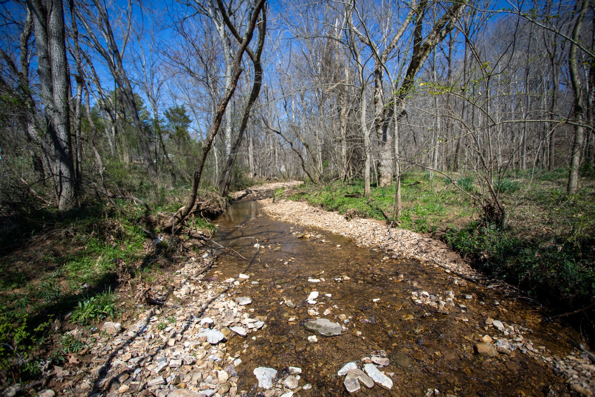 0 Cedar Grove Road Cross Plains, TN 37049 - Photo 3 of 27