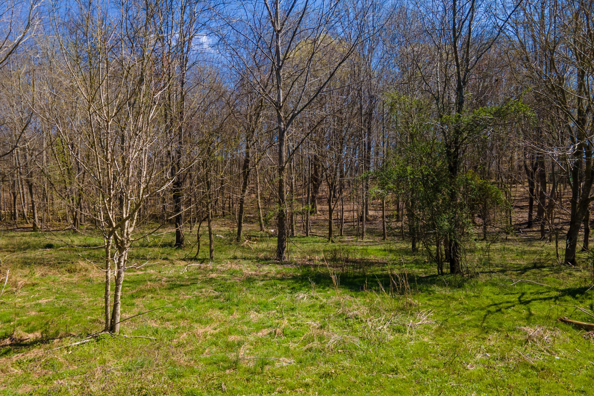 0 Cedar Grove Road Cross Plains, TN 37049 - Photo 4 of 27