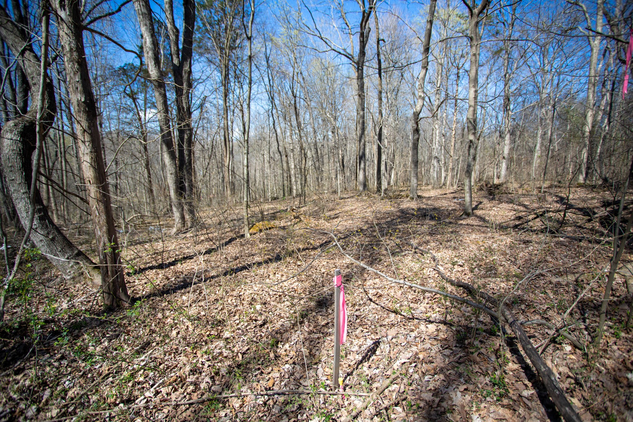 0 Cedar Grove Road Cross Plains, TN 37049 - Photo 5 of 27