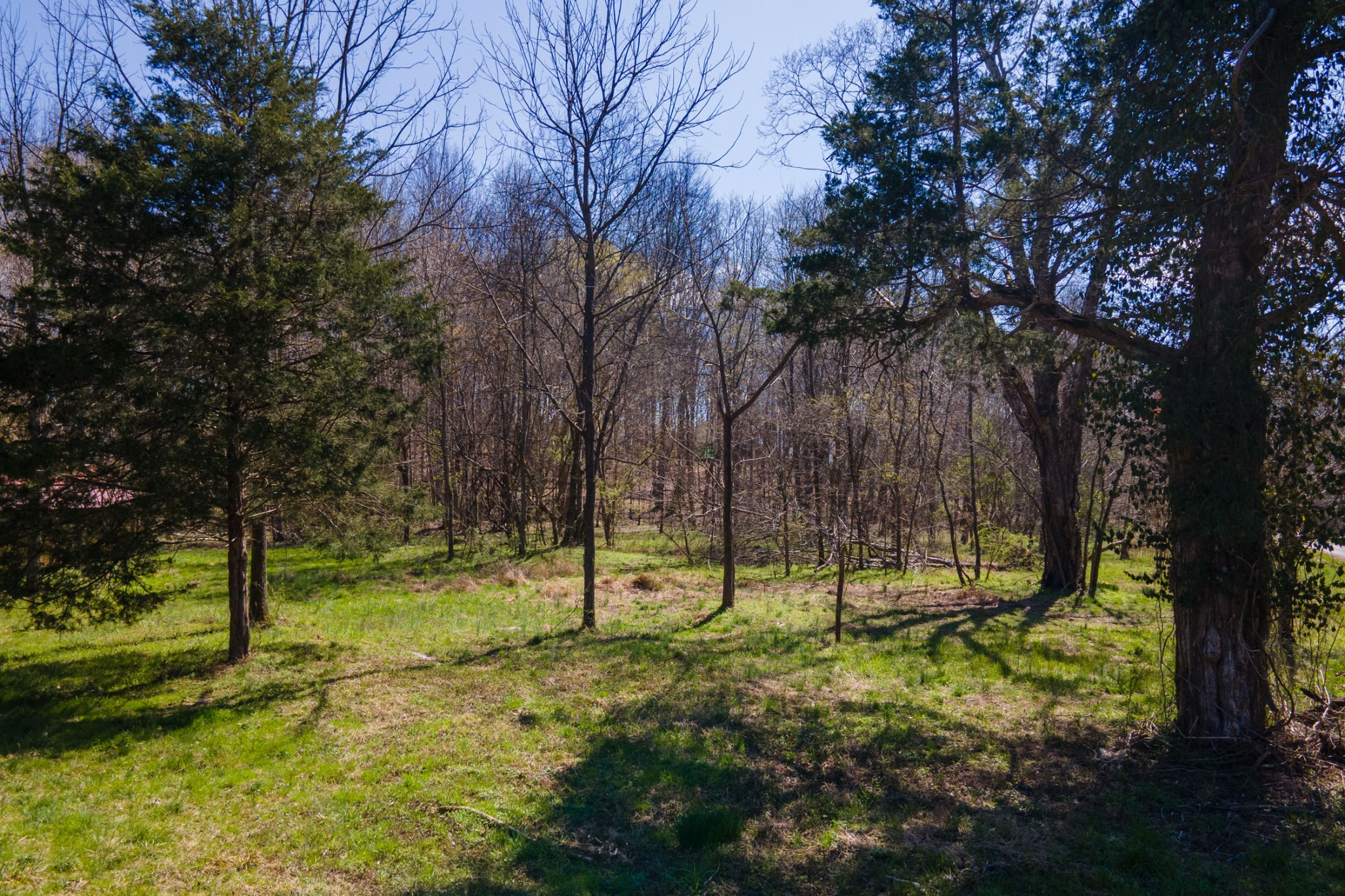 0 Cedar Grove Road Cross Plains, TN 37049 - Photo 6 of 27