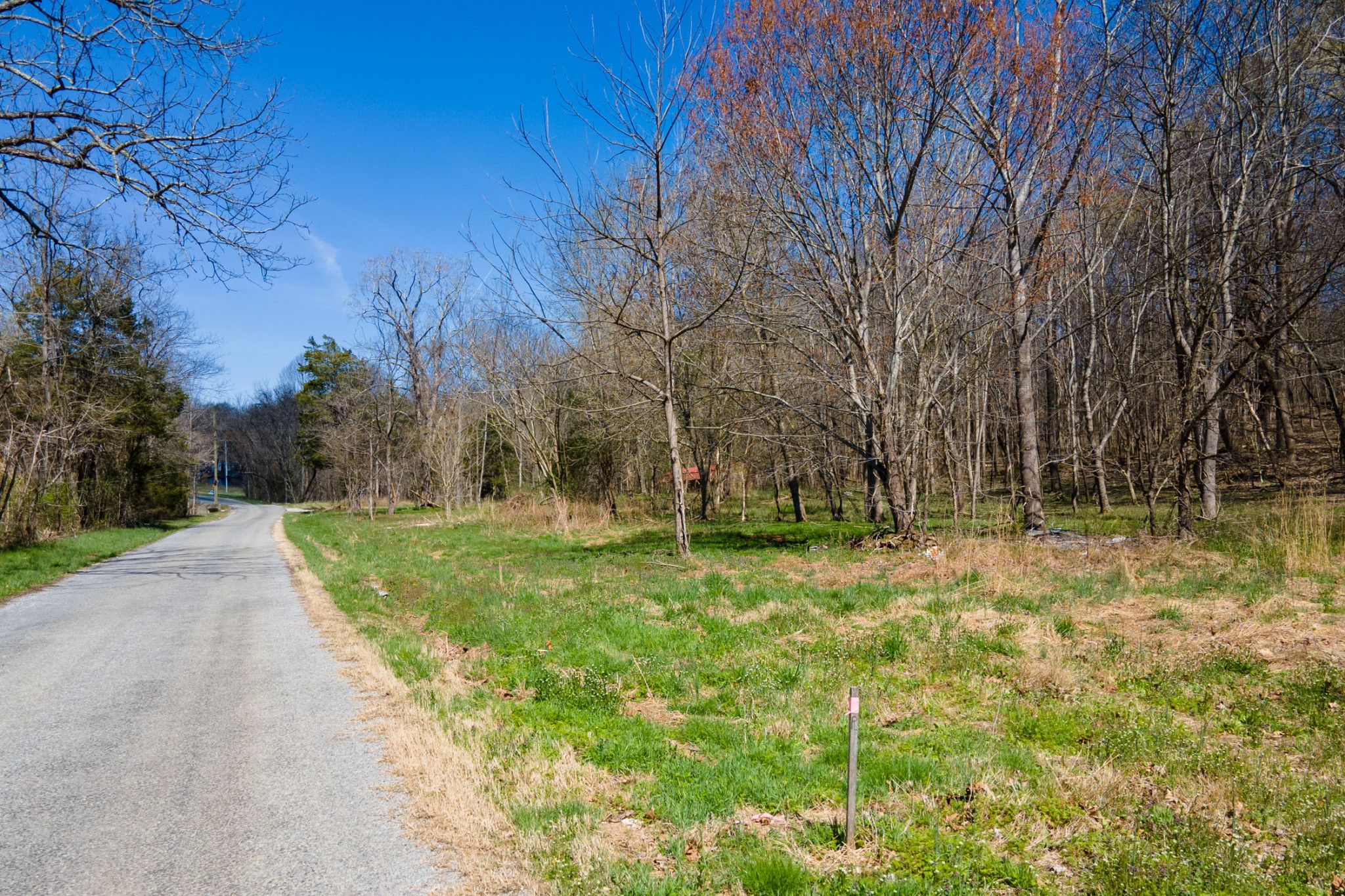 0 Cedar Grove Road Cross Plains, TN 37049 - Photo 9 of 27