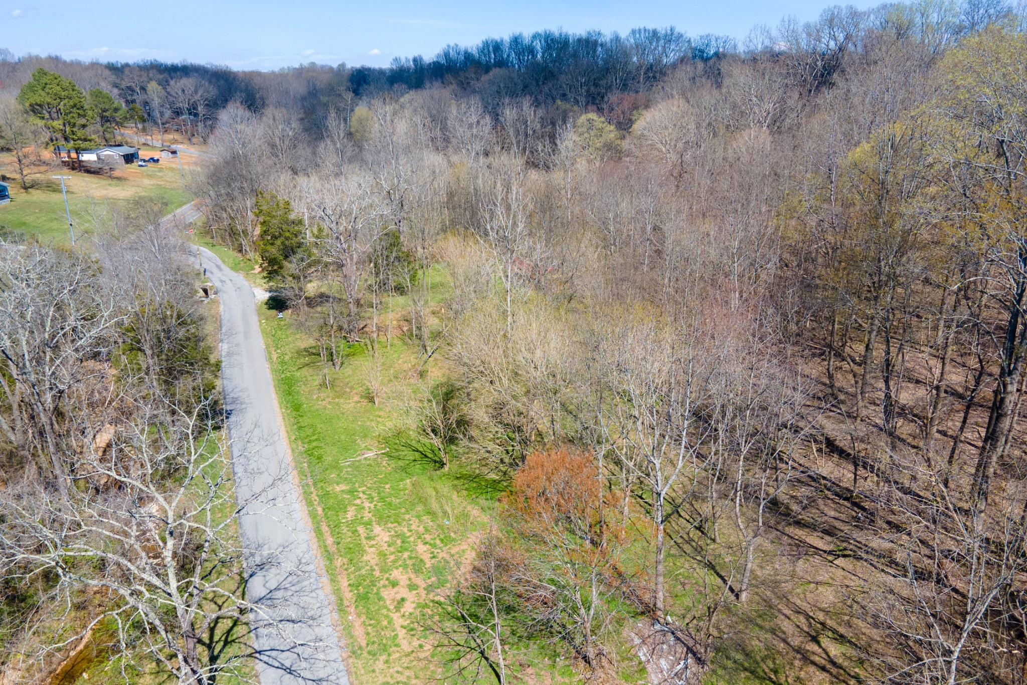 0 Cedar Grove Road Cross Plains, TN 37049 - Photo 10 of 27