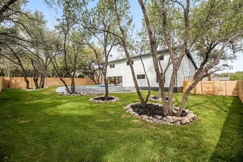 a view of a garden with a tree