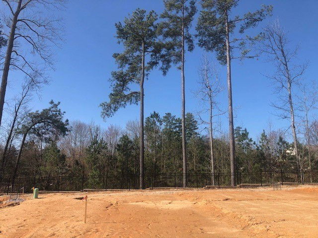 6530 Mezzo Lane Raleigh, NC 27616 - Photo 2 of 20 Land/Lot
