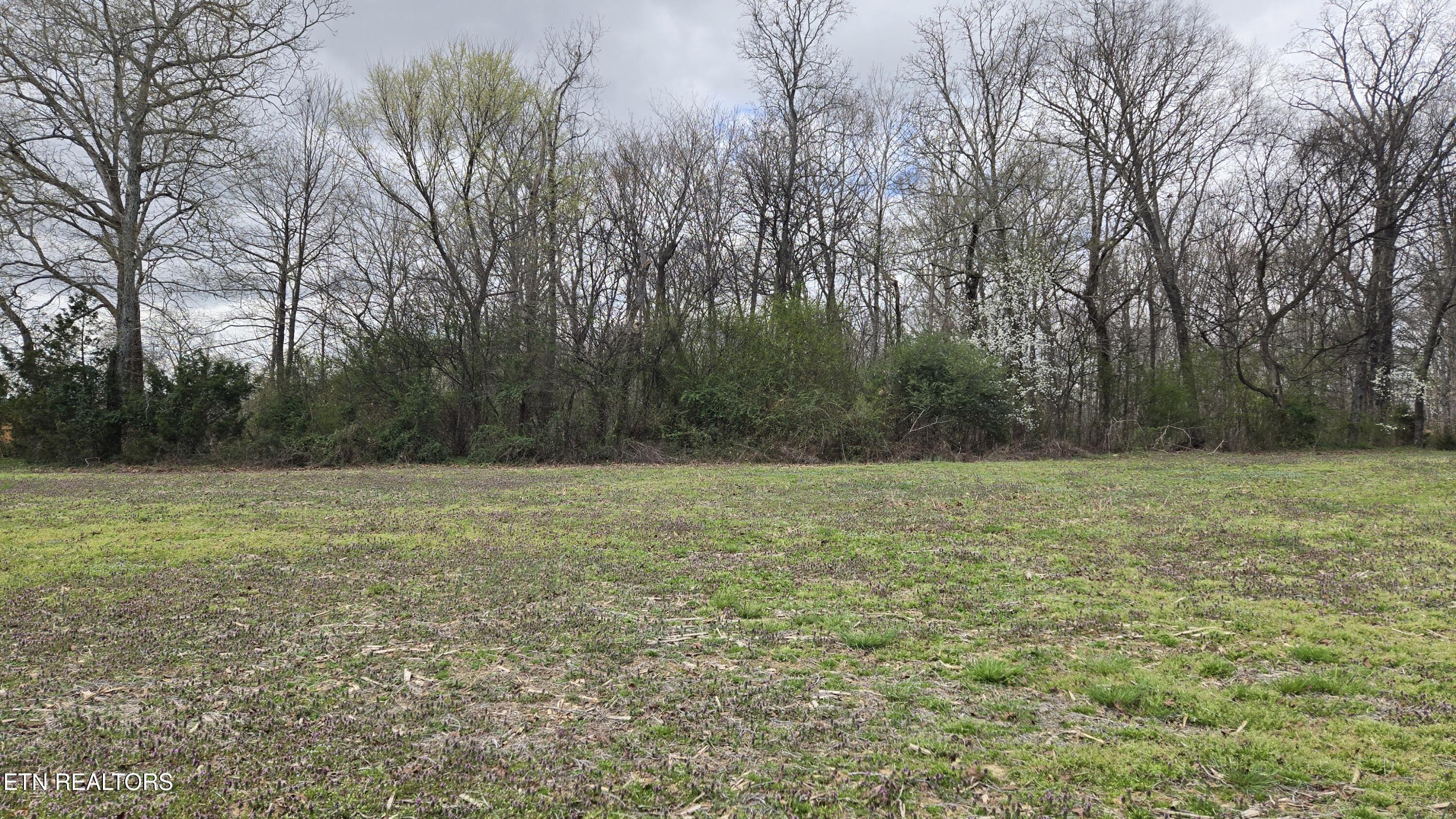 Niles Ferry Road Madisonville, TN 37354 - Photo 2 of 11 Mostly Cleared
