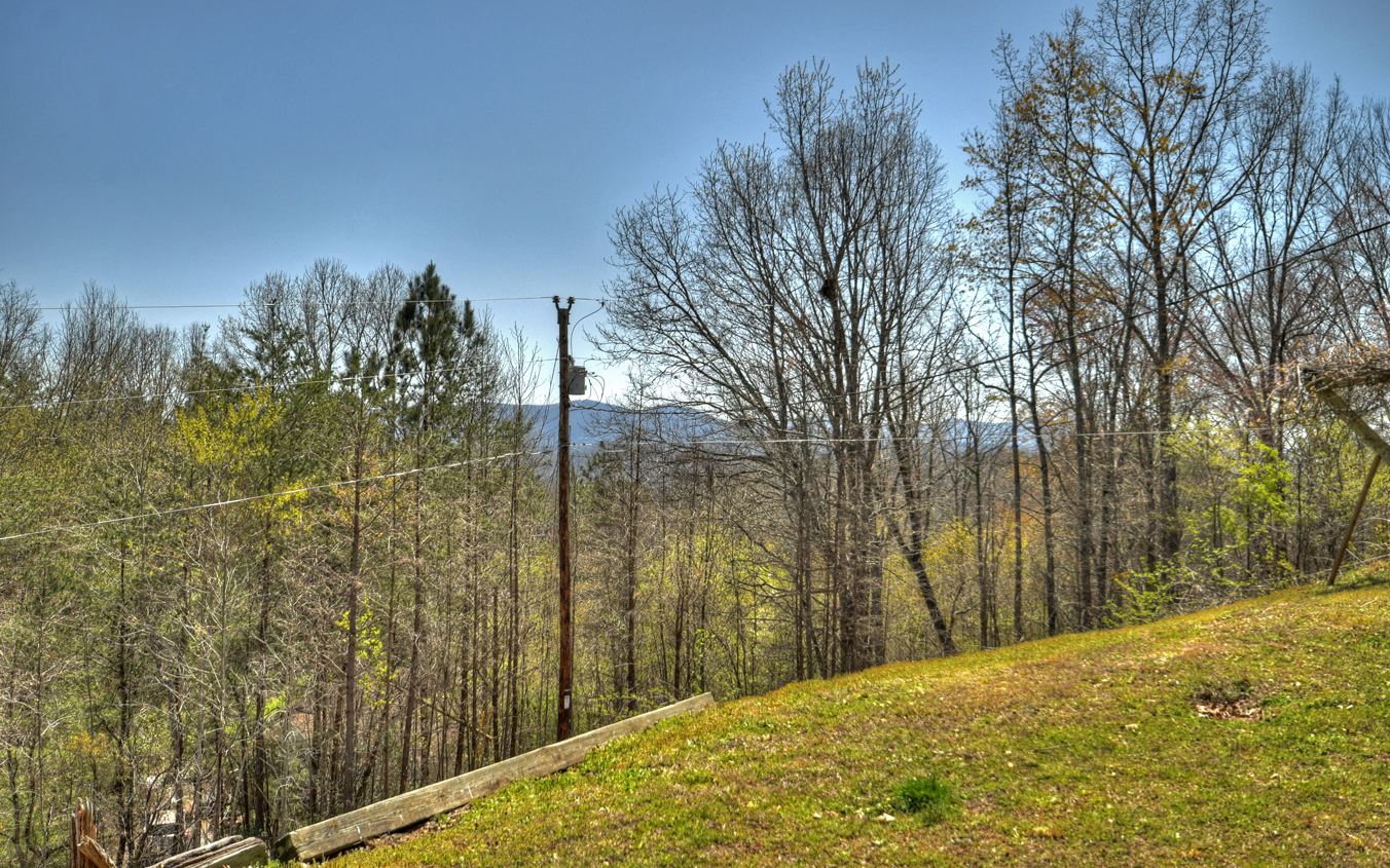 852 Bullen Gap Road Blue Ridge, GA 30513 - Photo 39 of 46 Additional View
