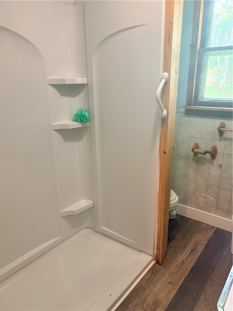 149 Will Sheldon Road Otego, NY 13825 - Photo 13 of 49 House one bathroom