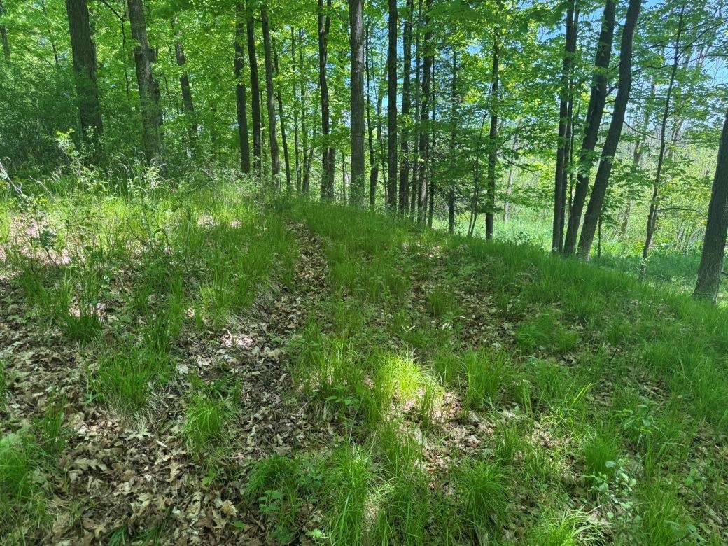 W17810 Eland Road Wittenberg, WI 54499 - Photo 87 of 89