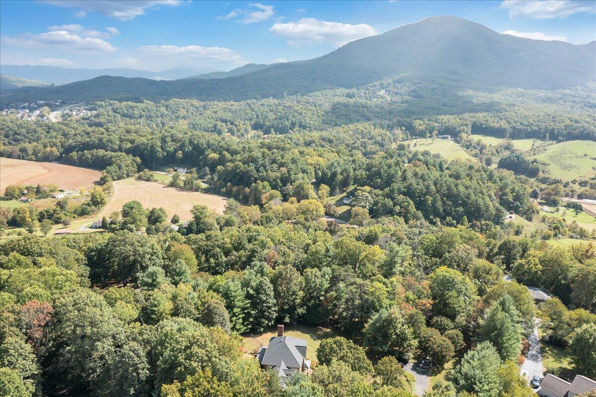 6348 Sunnyvale Road Roanoke, VA 24018 - Photo 67 of 75 67-D R E A M-5195