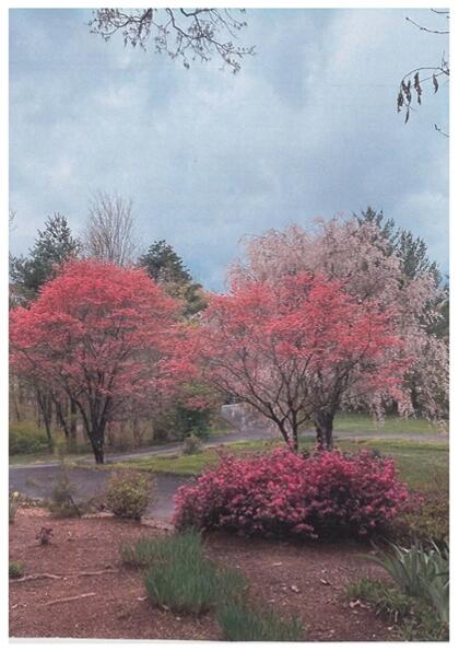 6348 Sunnyvale Road Roanoke, VA 24018 - Photo 74 of 75 Spring 2