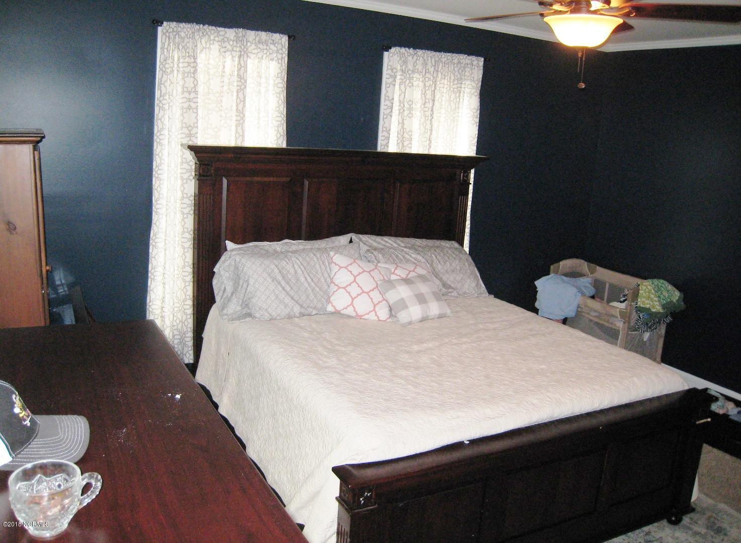 247 Lyman Road Beulaville, NC 28518 - Photo 17 of 35 ...with lots of natural light