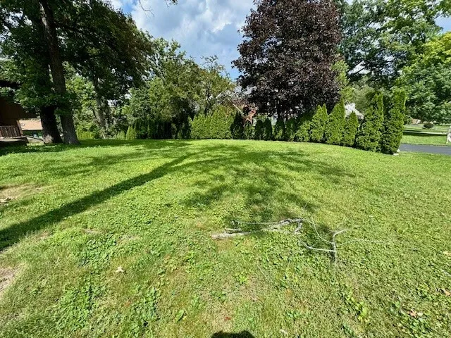 a view of green field with trees in the background