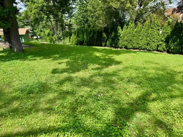 a view of yard with green space