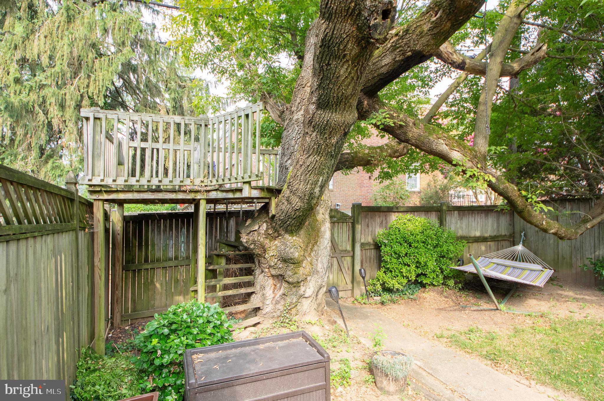 6422 Pinehurst Road Baltimore, MD 21212 - Photo 43 of 56 Backyard tree house