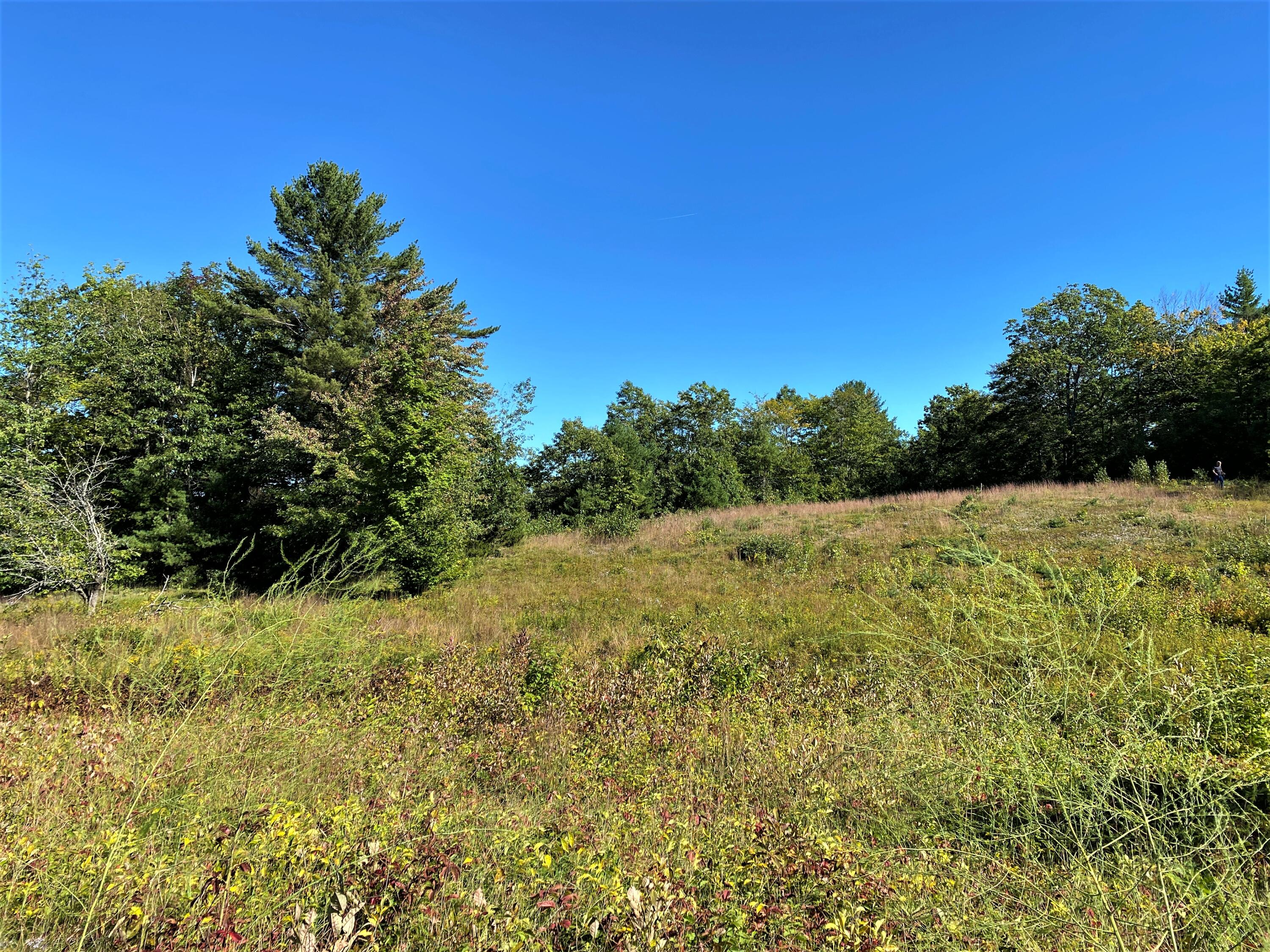 Lot 12 Libby Road West Newfield, ME 04095 - Photo 17 of 18 IMG_115967