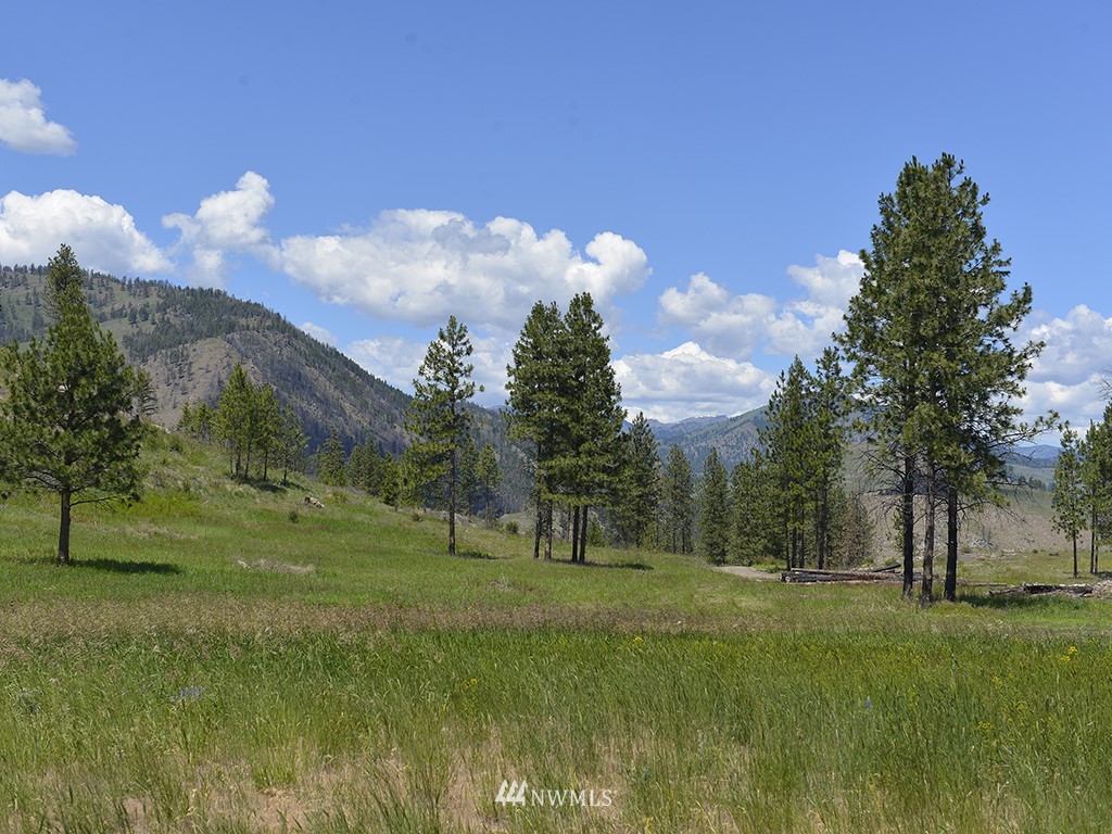 156-139 Poechmann Road Okanogan, WA 98840 - Photo 22 of 25