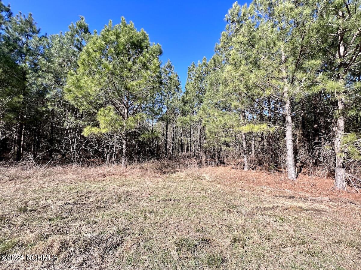 0 Rehoboth Church Road Jackson, NC 27845 - Photo 7 of 46 7