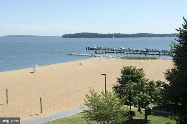 a view of a large tree with an outdoor space