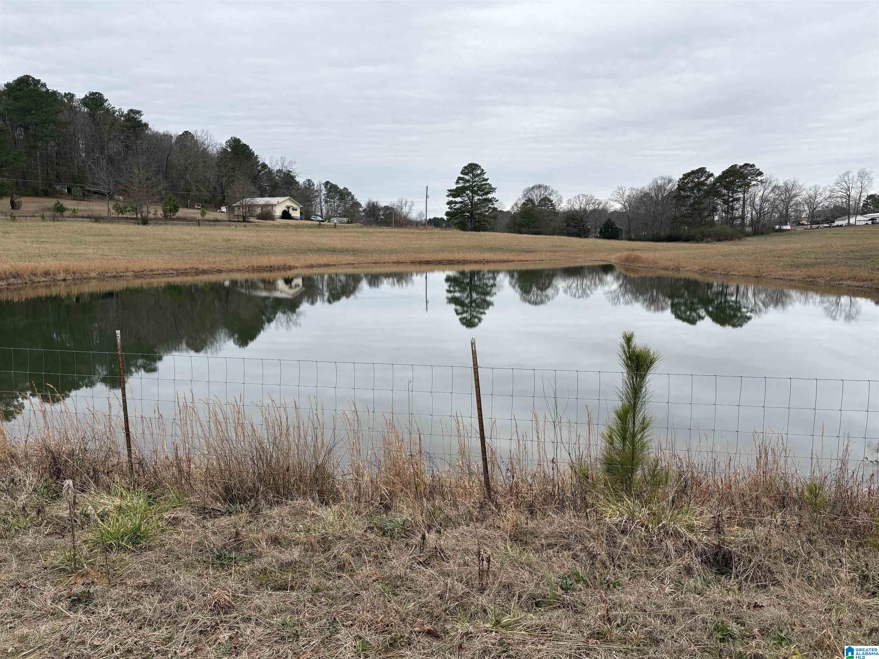 3349 Nail Road, Unit 40 6 ACRES / Warrior, AL 35180 - Photo 1 of 16