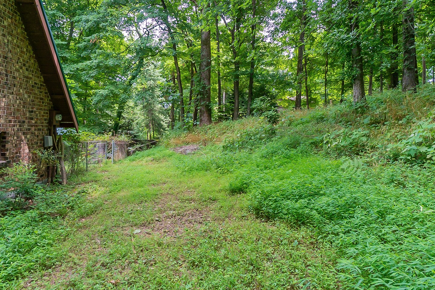 4839 Kinneys School Road Springfield, TN 37172 - Photo 33 of 35 a view of a lush green forest