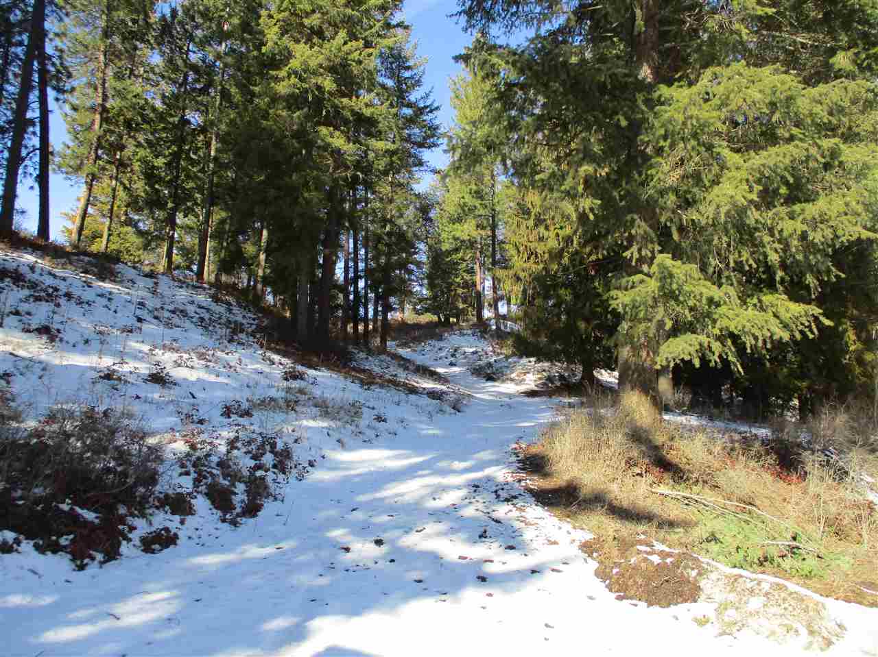 607 Prouty Corner Loop Road Colville, WA 99114 - Photo 11 of 22