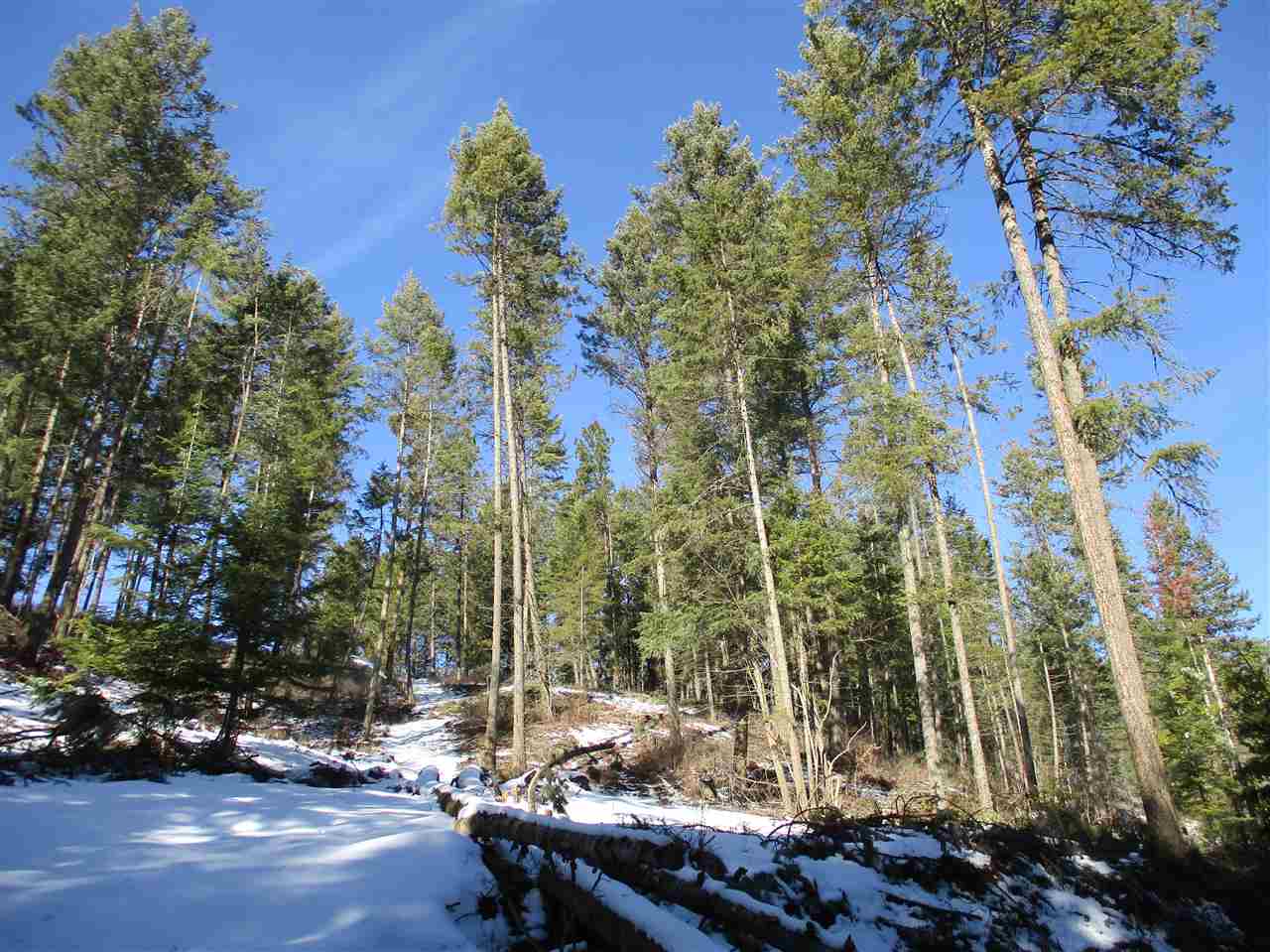 607 Prouty Corner Loop Road Colville, WA 99114 - Photo 14 of 22