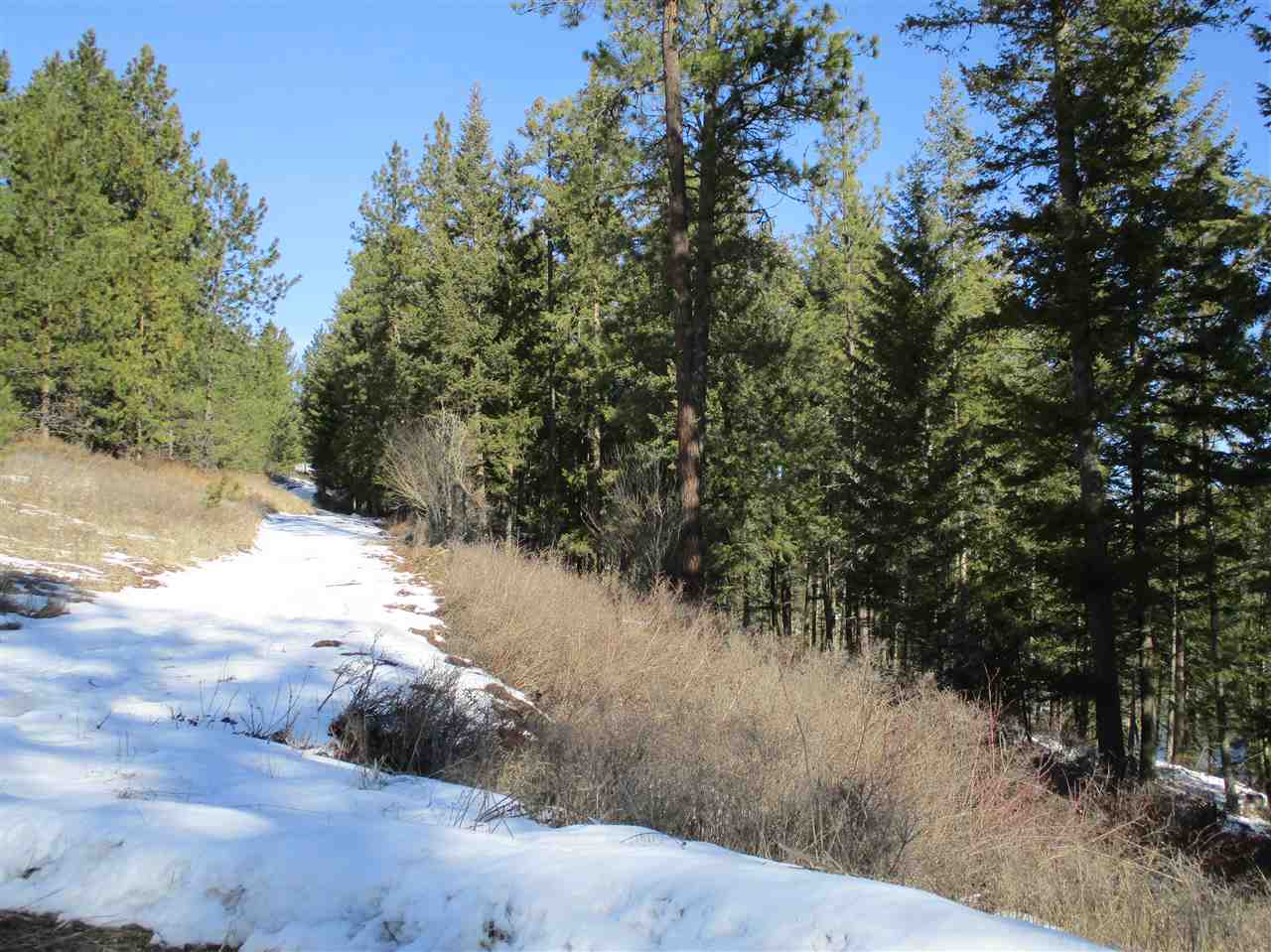 607 Prouty Corner Loop Road Colville, WA 99114 - Photo 21 of 22