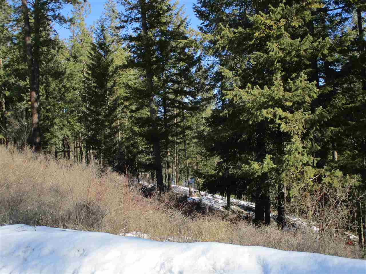 607 Prouty Corner Loop Road Colville, WA 99114 - Photo 22 of 22