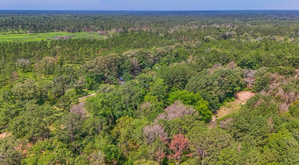 2815 Parker Road Boston, GA 31626 - Photo 56 of 64 Gallery Image 56