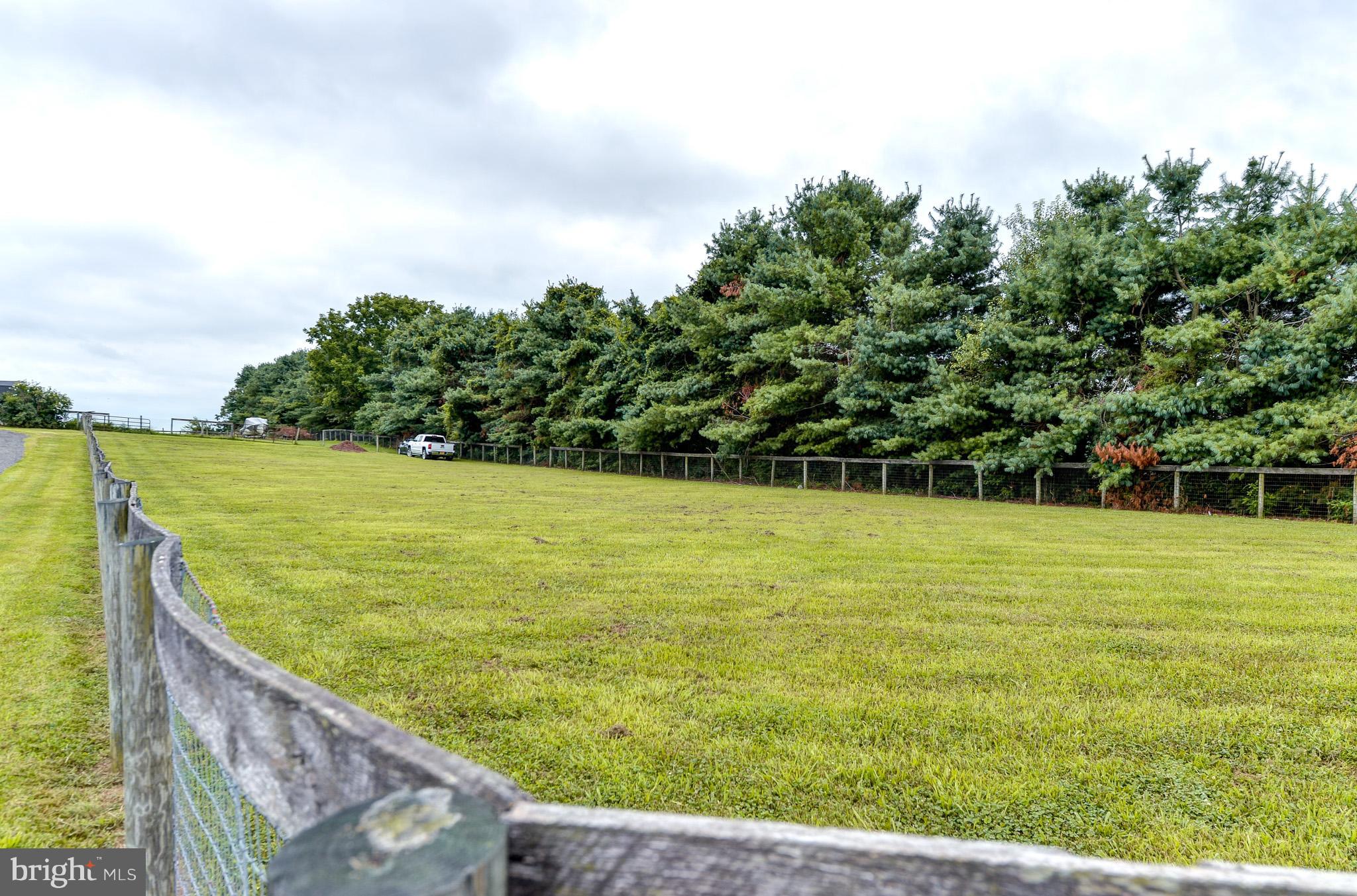 800 Glebe Road Earleville, MD 21919 - Photo 27 of 27 Pasture
