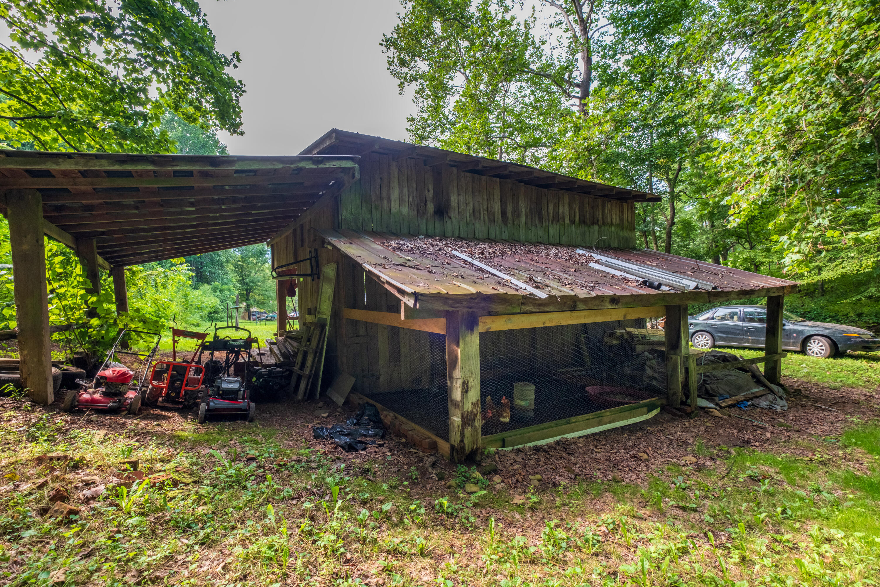 WBP-Bobs-Hollow-23